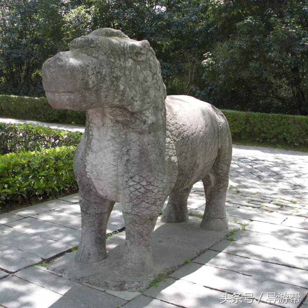 南京明孝陵600岁神道,南京明孝陵讲解视频完全版