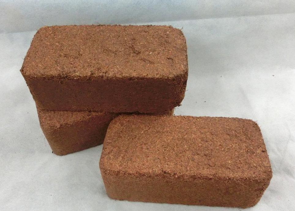 养花的营养土怎么配置最好,养好花的基础配靠谱的营养土