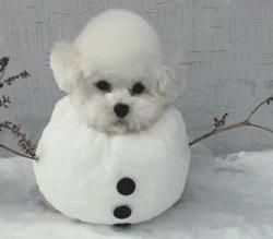 atm提款有必要遮挡吗 (atm机取款用手遮挡步骤)