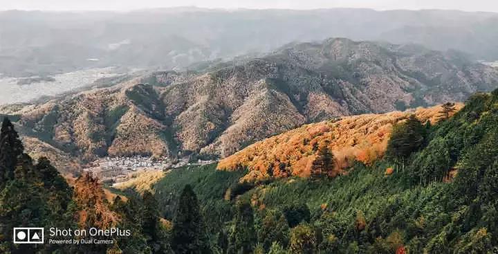 干货能够做不,干货主播好不好干