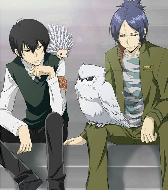 最近沸沸扬扬的直男cp,那些光明正大的男cp