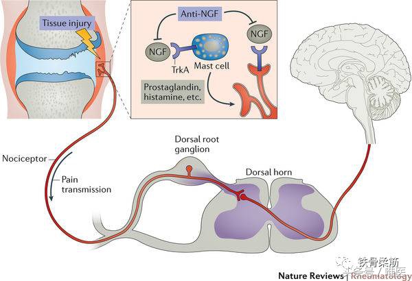 做手术病人感觉不疼,做手术时真的不疼吗