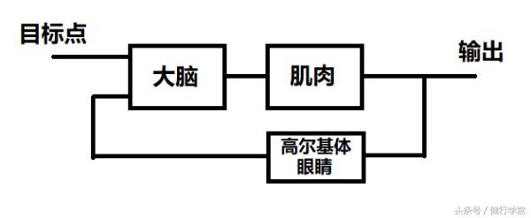 颈椎病的康复治疗手法,颈椎病用圆枕能康复吗