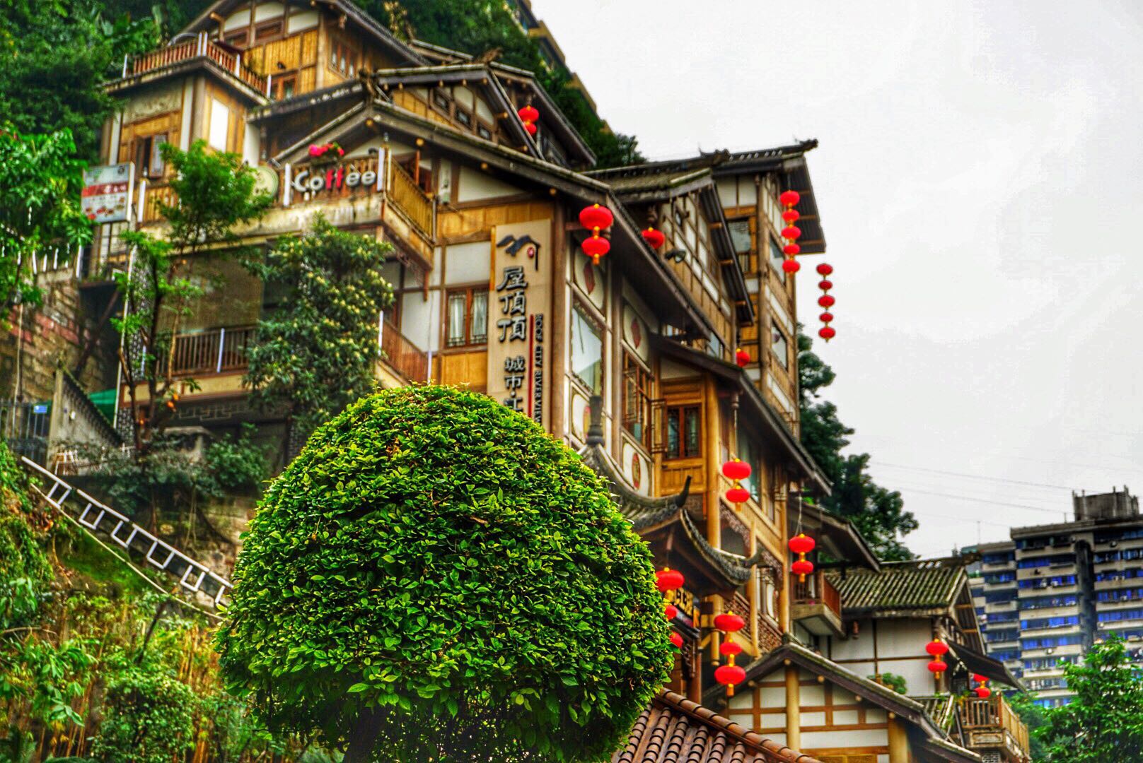 全国为什么喜欢到重庆旅游,你为什么喜欢旅游