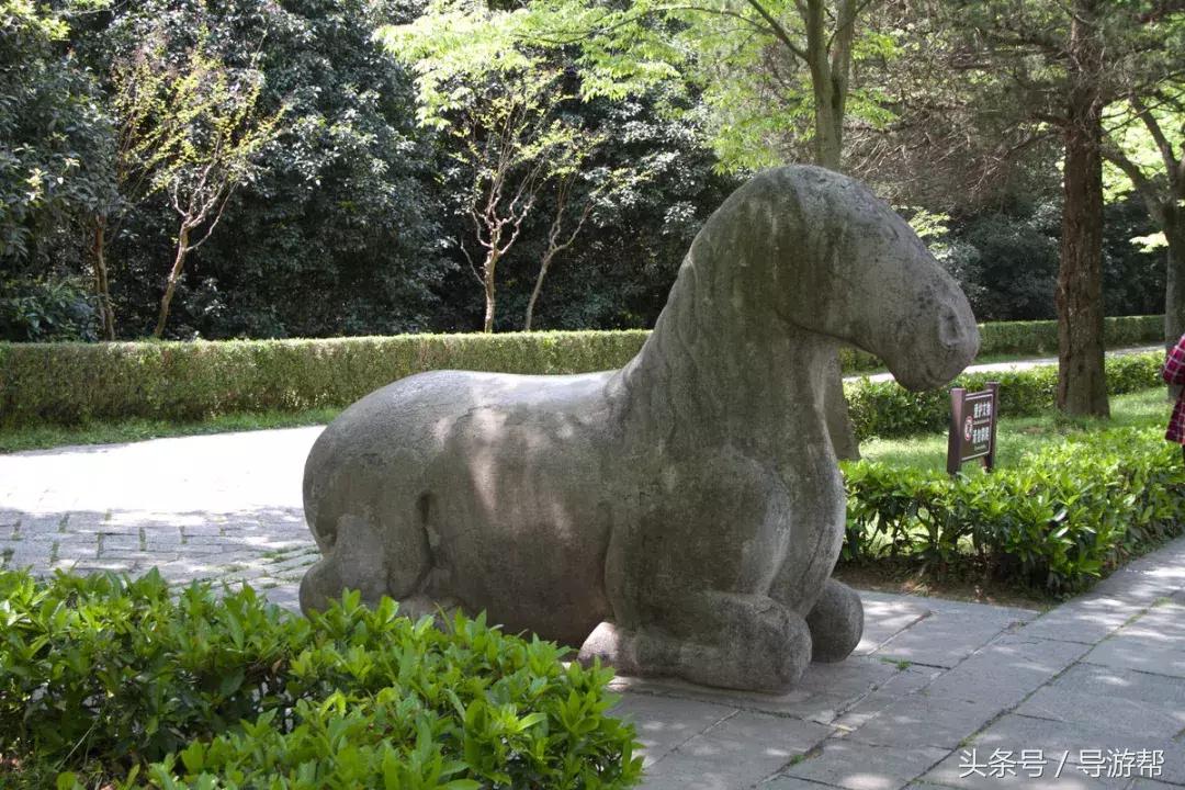 南京明孝陵600岁神道,南京明孝陵讲解视频完全版