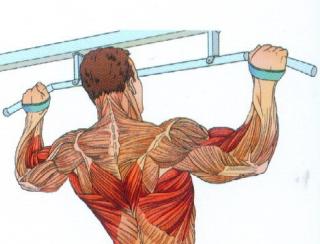 哑铃练胸的正确锻炼方法视频,正确使用哑铃健身的方法