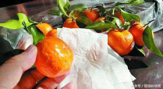 打了糖的水果能吃吗,可怕的沙糖桔看完了你还想吃吗