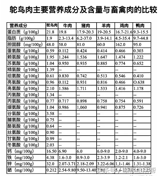 养殖“大笨鸟”，敲开致富门，80后回老家创业成为新一代农场主