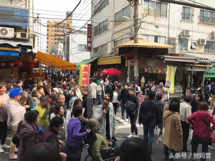 寒假日本亲子游攻略,日本亲子游最佳路线攻略