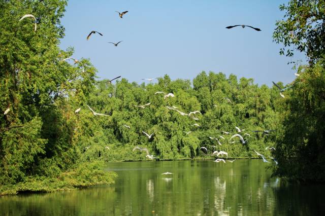 元旦假期别宅了，到粤港澳大湾区参加跨年派对吧！