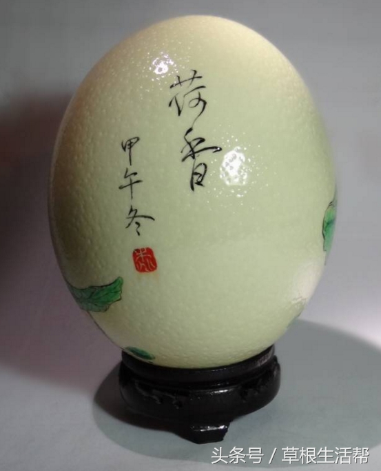 养殖“大笨鸟”，敲开致富门，80后回老家创业成为新一代农场主