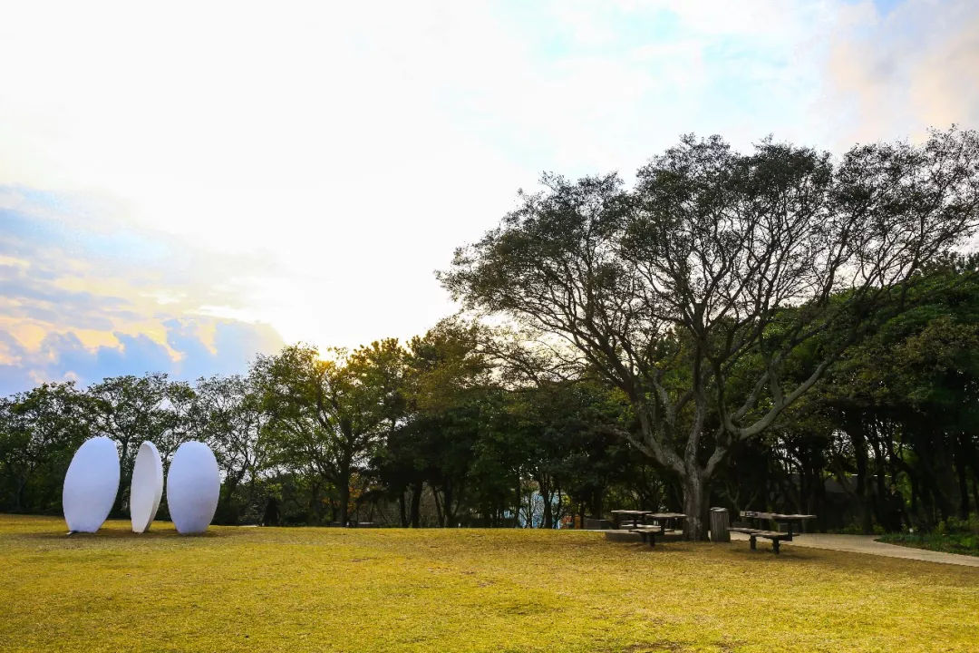 去济州岛能够买些什么回来,济州岛玩乐全攻略