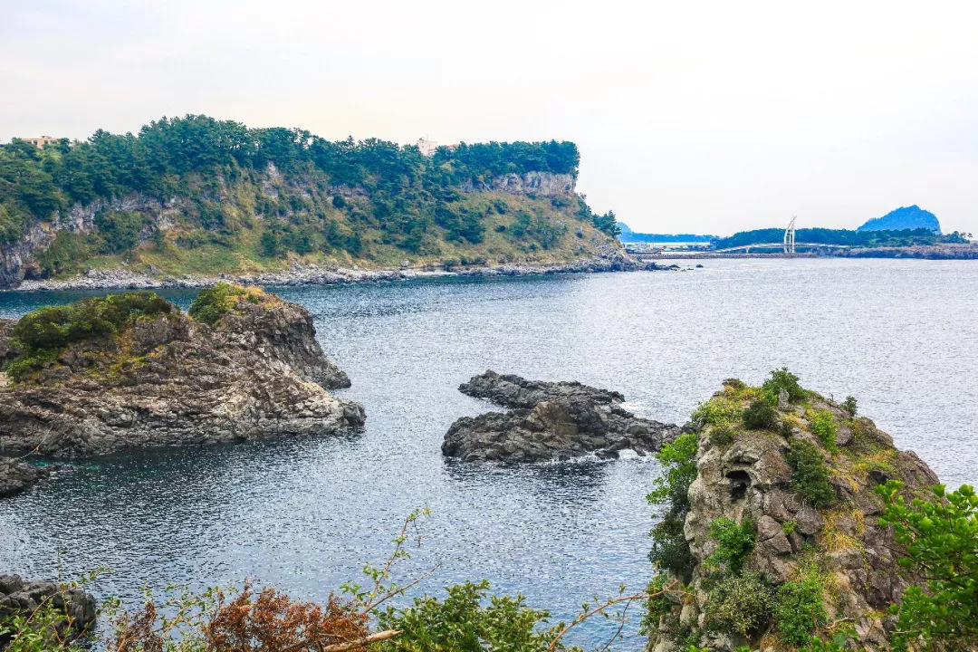 去济州岛能够买些什么回来,济州岛玩乐全攻略