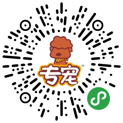 新手养泰迪怎么投食,新手养公泰迪还是母泰迪