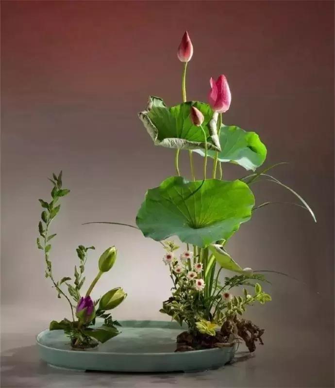 100句古今绝美句子,二十四史经典佳句30则附译文