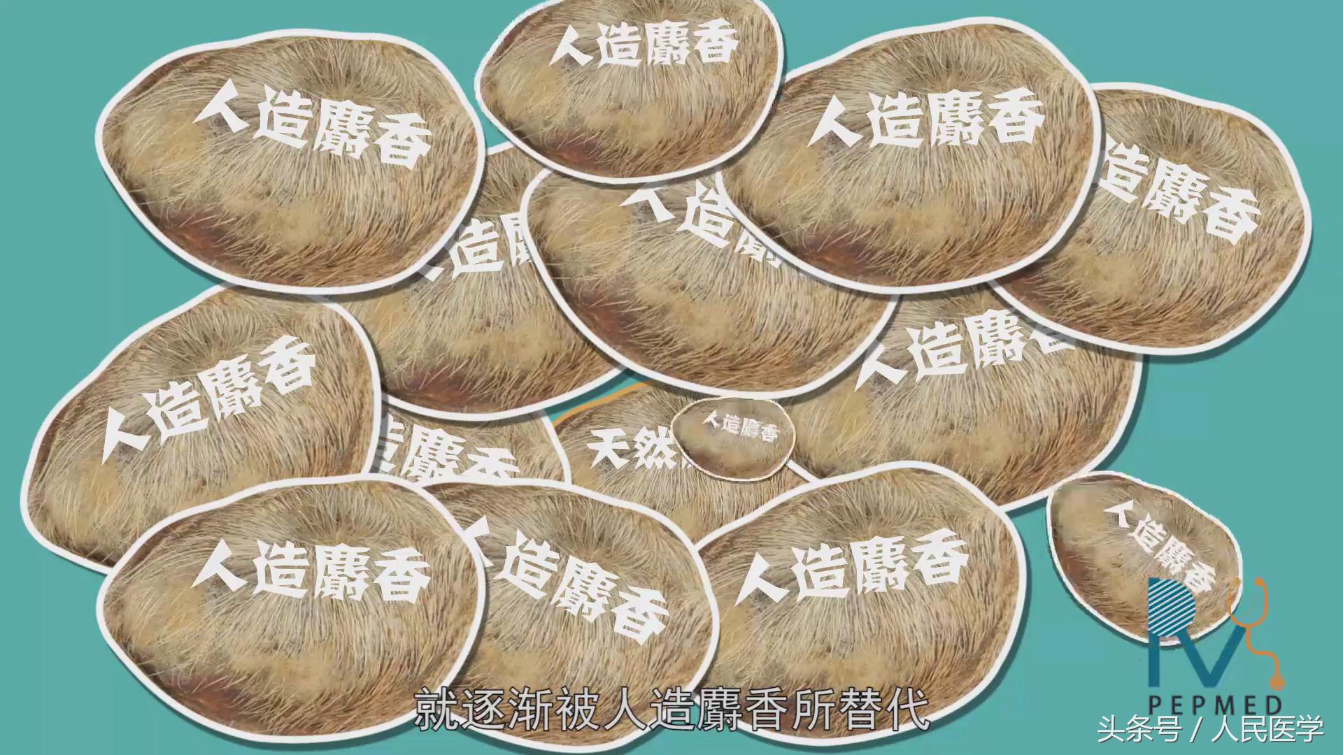 麝香能够导致女人流产吗,麝香能够打胎吗