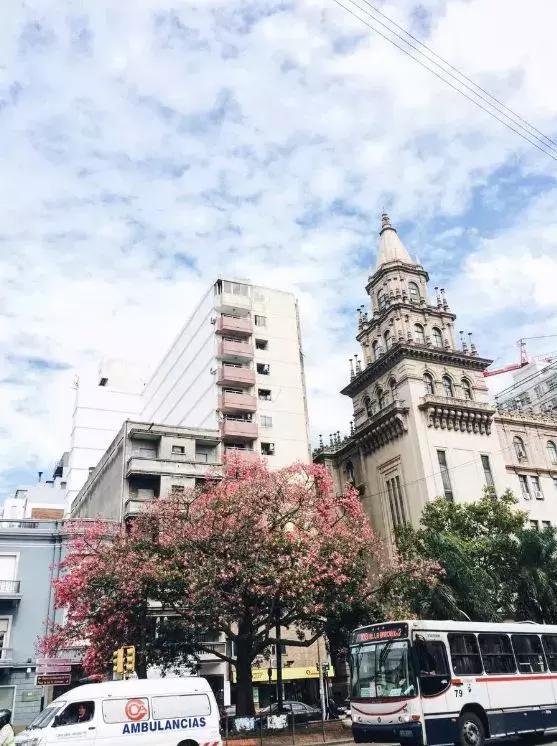 中国护照免签落地签国家,2022中国护照落地签证免签