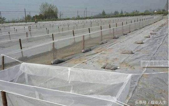 通过浙江温岭市农博筛网有限公司了解到填充塑料浮球的重要性