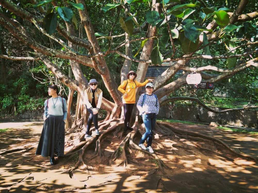 腾冲热海风景区观景台,腾冲火山热海风景区游玩攻略