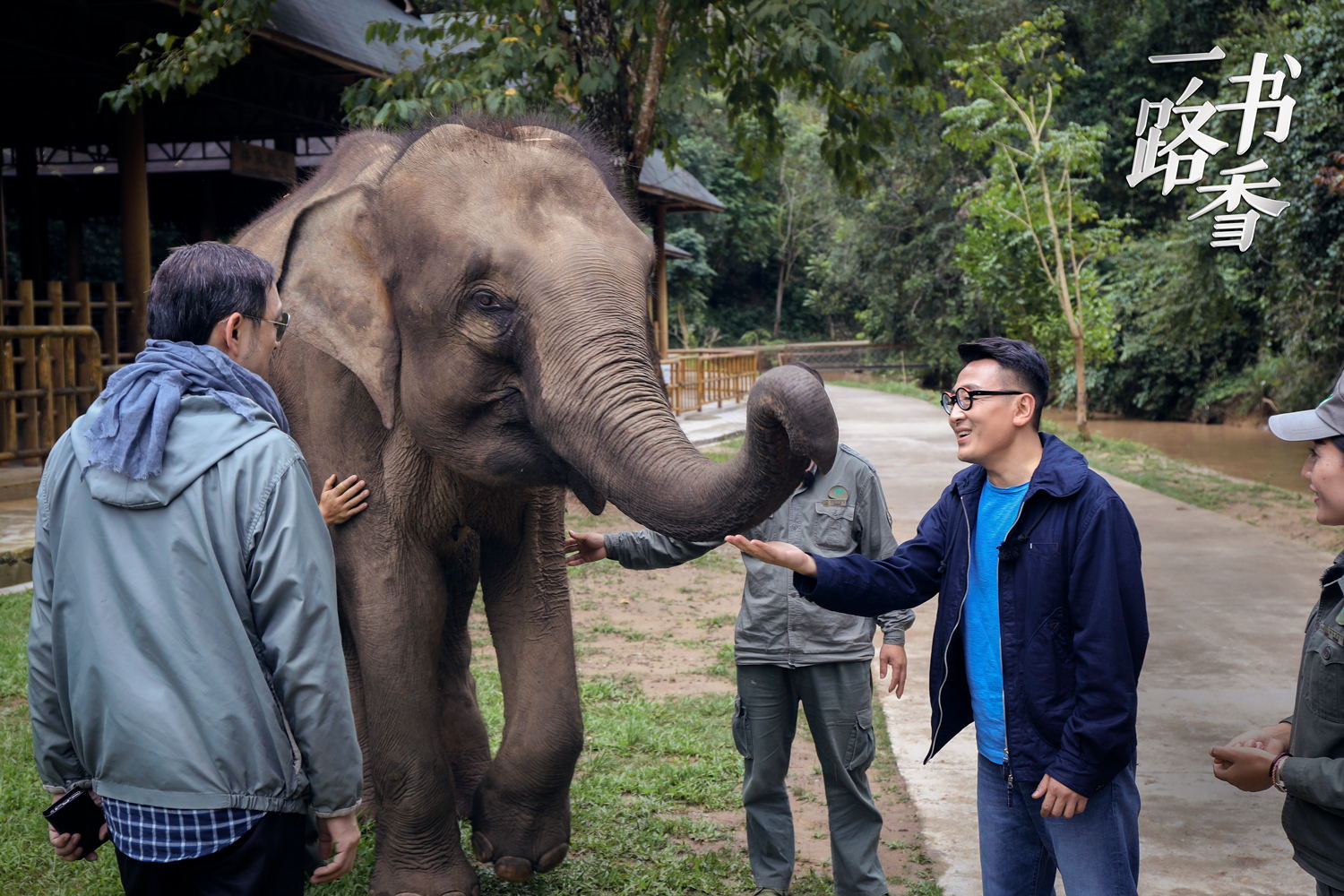 许戈辉访谈窦文涛早期,马未都窦文涛三人行完全版
