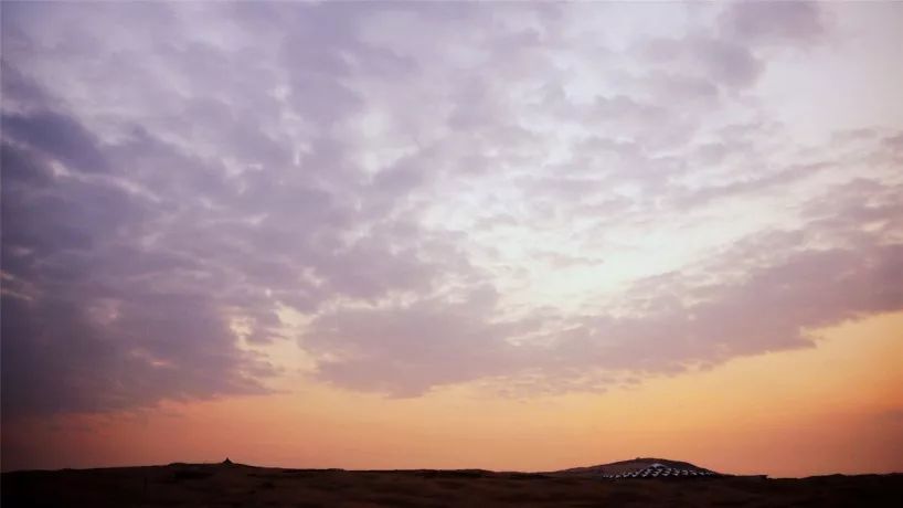 鑳藉湪娌欐紶鐪嬫槦绌虹殑閰掑簵,娌欐紶涓殑鑾茶姳閰掑簵