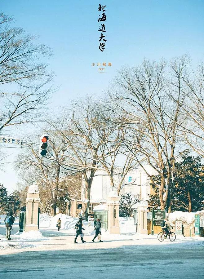 北海道自由行攻略,北海道旅游攻略七天自由行