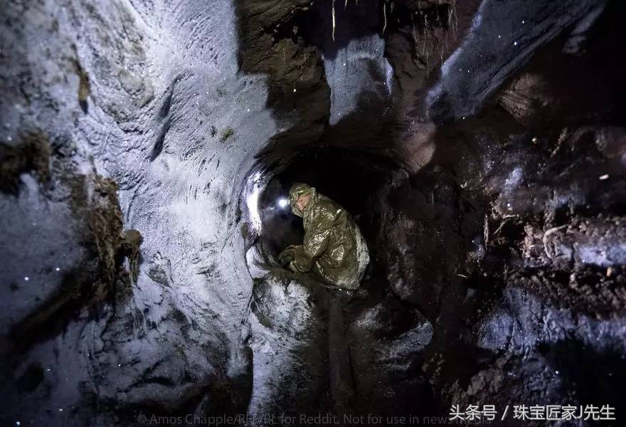 象牙禁令前收藏的象牙,哪一年开始禁象牙