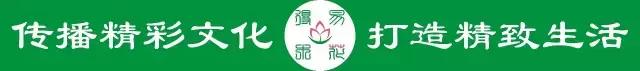 蝴蝶兰价格是多少,今年的蝴蝶兰的价格是多少