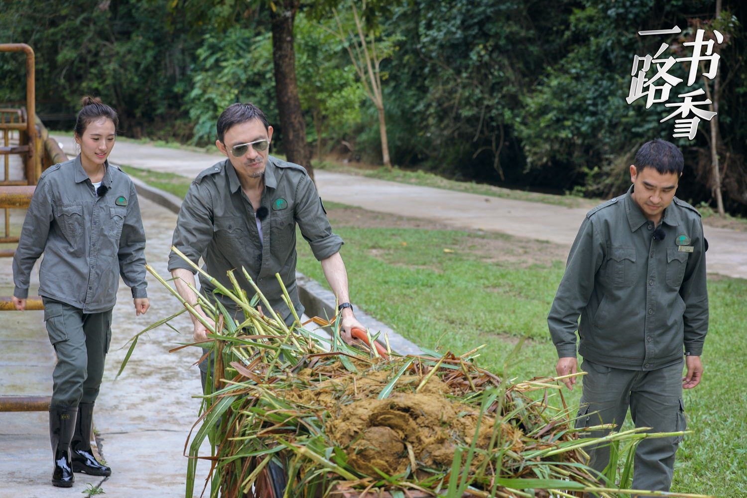许戈辉访谈窦文涛早期,马未都窦文涛三人行完全版