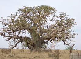 德国玛堡壁纸效果图白色,德国玛堡壁纸如何