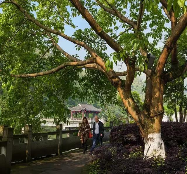 全景乐山沐川,乐山沐川风景区