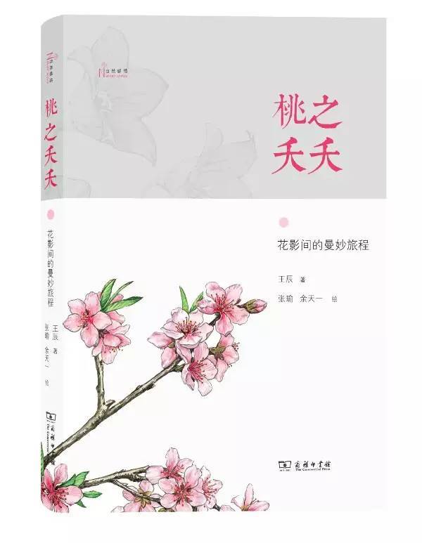 52本经典好书阅读,35本值得收藏的好书