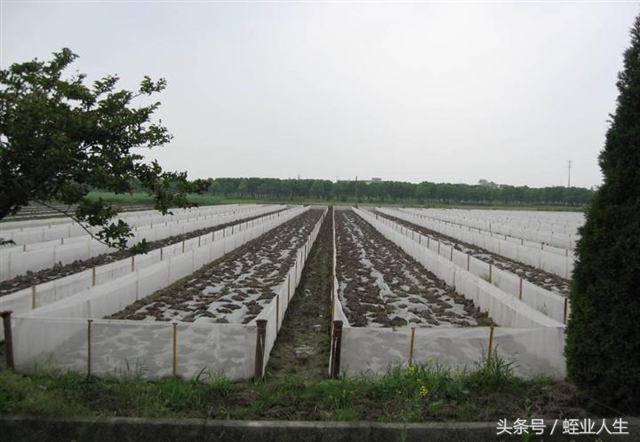 通过浙江温岭市农博筛网有限公司了解到填充塑料浮球的重要性