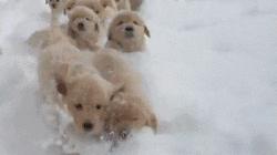 lv阿玛尼时装,lv阿玛尼纪梵希