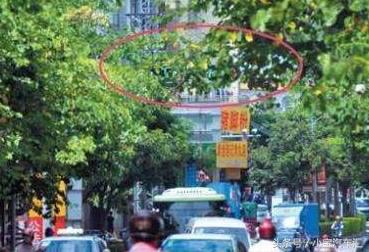 红灯不能乱闯,红灯不能闯黄灯吗