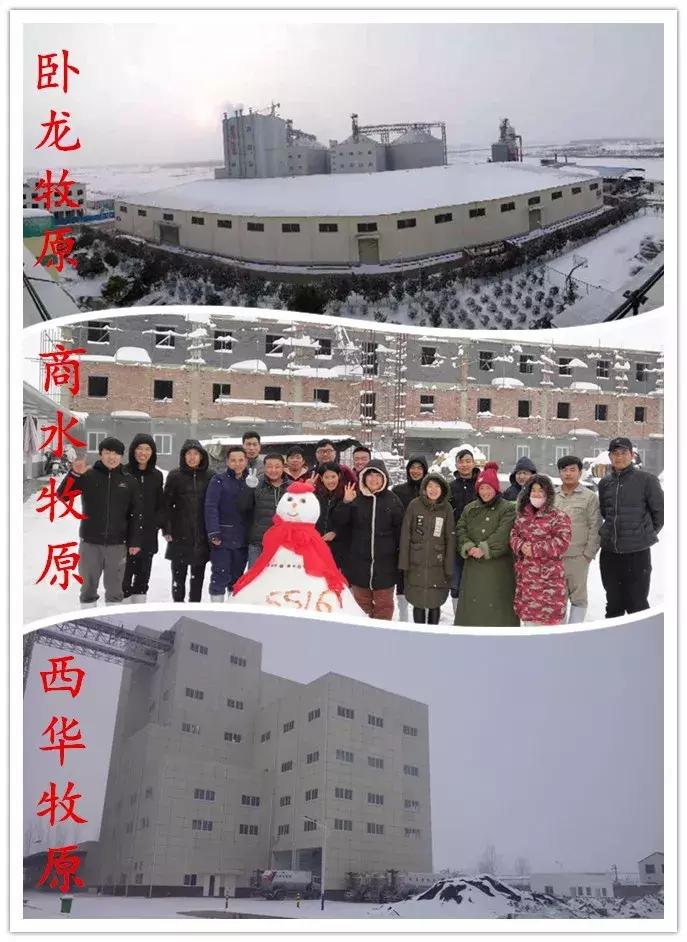 雪中美景雪景,雪中银装素裹美如画