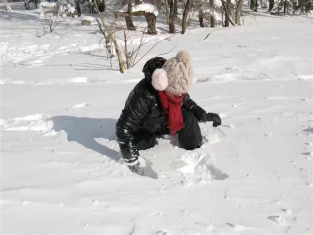这次雪乡宰客怎么样,泰国雪乡宰客完全视频