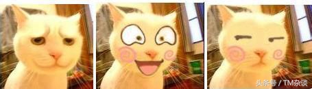 交行信用卡积分能抵扣多少钱,交行信用卡海外消费手续费