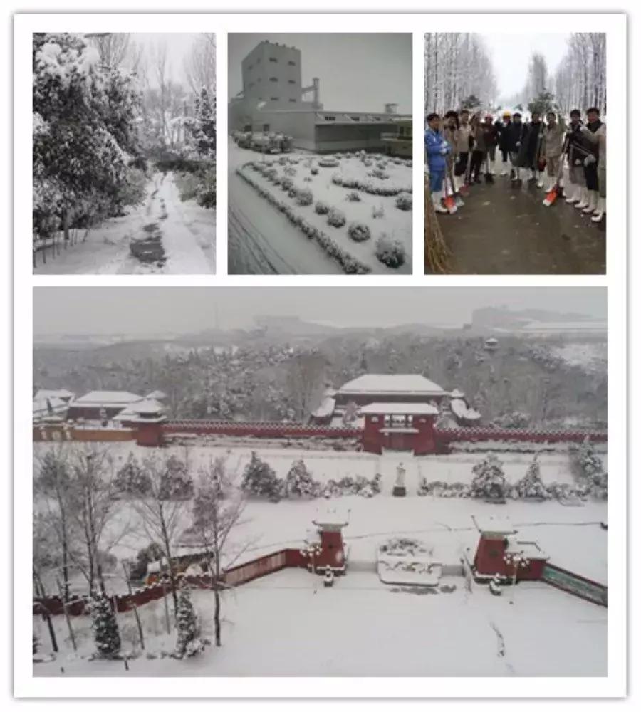 雪中美景雪景,雪中银装素裹美如画