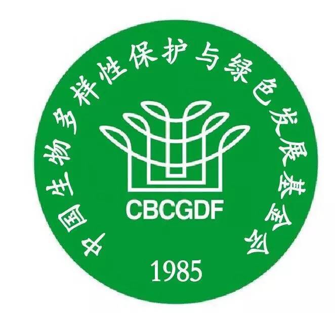 万万没想到大众居然没有造假？