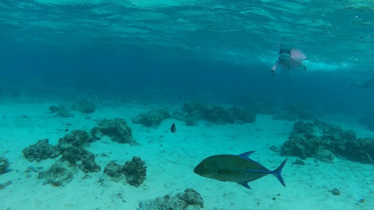 上午在广州捂白过严冬，下午在塞班岛放肆晒黑