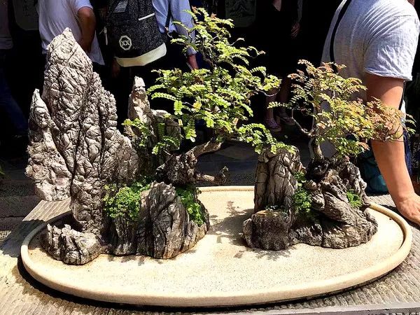 建水这个城市好吗,建水古城一座诗意满满的千年古城