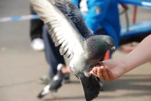 上午在广州捂白过严冬，下午在塞班岛放肆晒黑