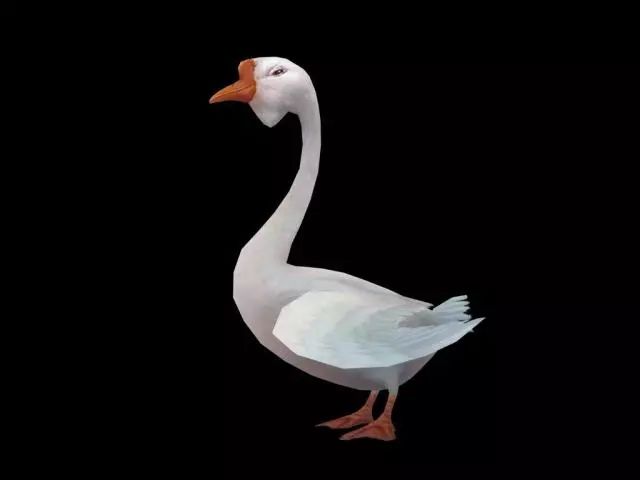 「本地」林甸农民杀鹅取出一个“宝贝”，网称“宝贝”在上海拍出870万天价