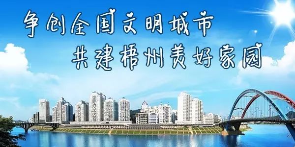 政府采购实现降本增效,规范和加强政府采购管理工作汇报