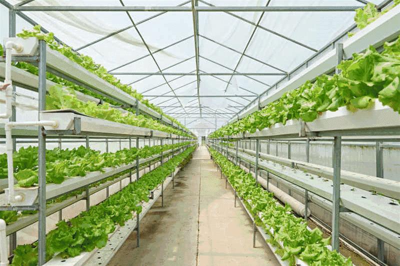 天冷了火锅肯定是不二之选了,合适天冷的火锅