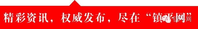 彭禹廷的战争故事,彭禹廷的战争第十七章