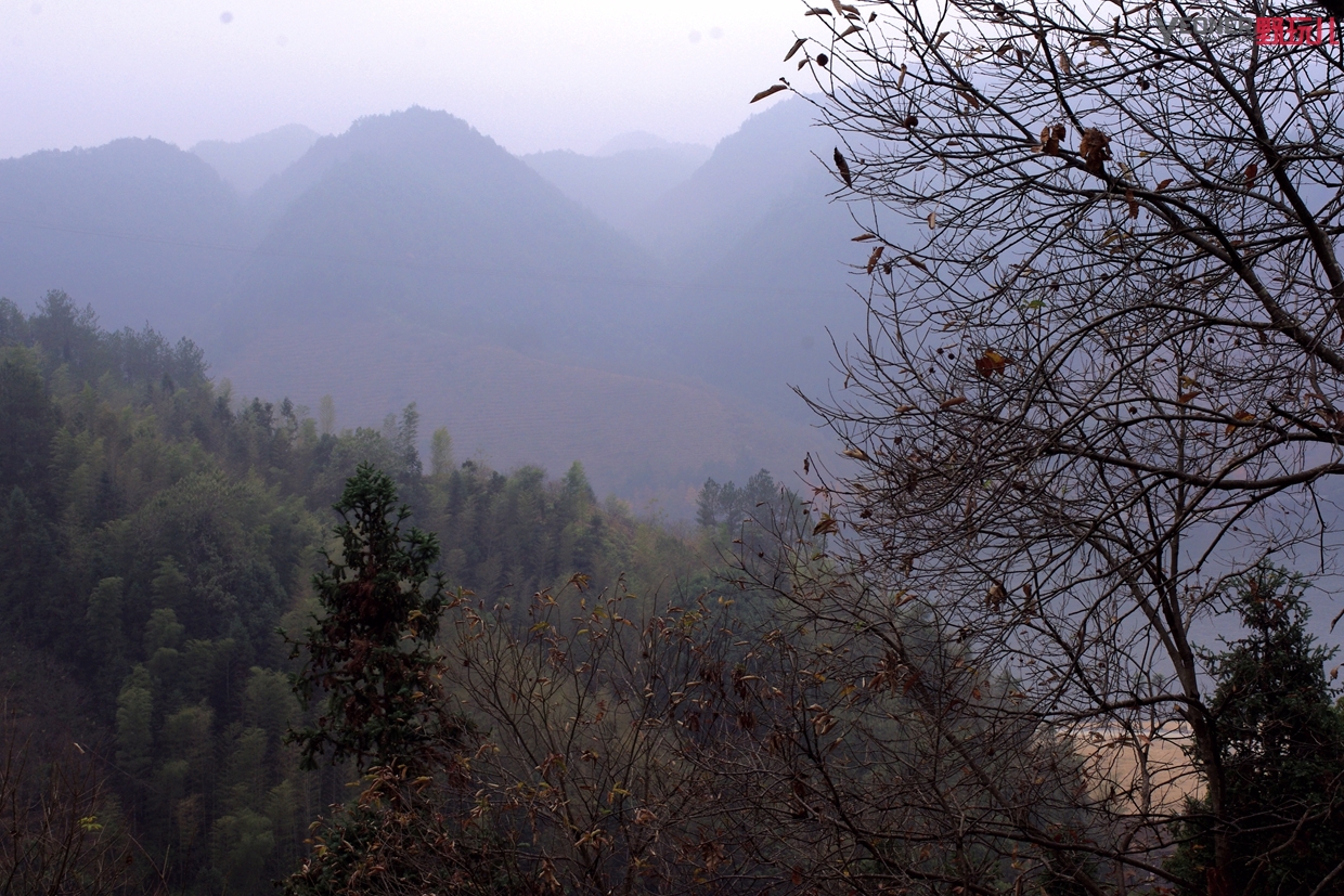 thenorthface徒步鞋推荐,北面的登山鞋实测