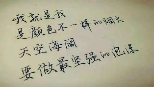 艺考升学攻略,艺考文化课冲刺告捷助你艺路无忧