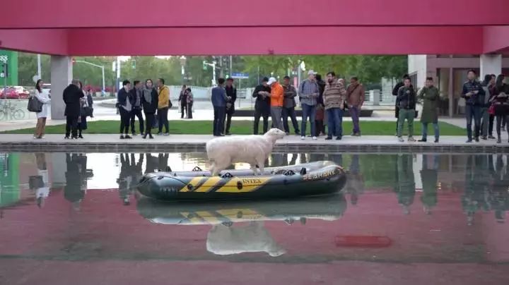 凤凰艺术,凤凰艺术是怎么来的